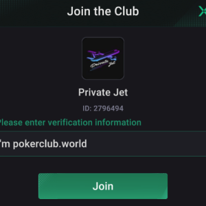 private jet 2796494