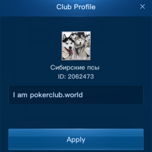 siberian dogs 2062473