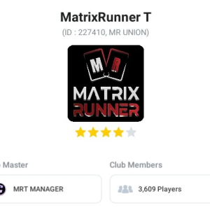 matrix runner 227410